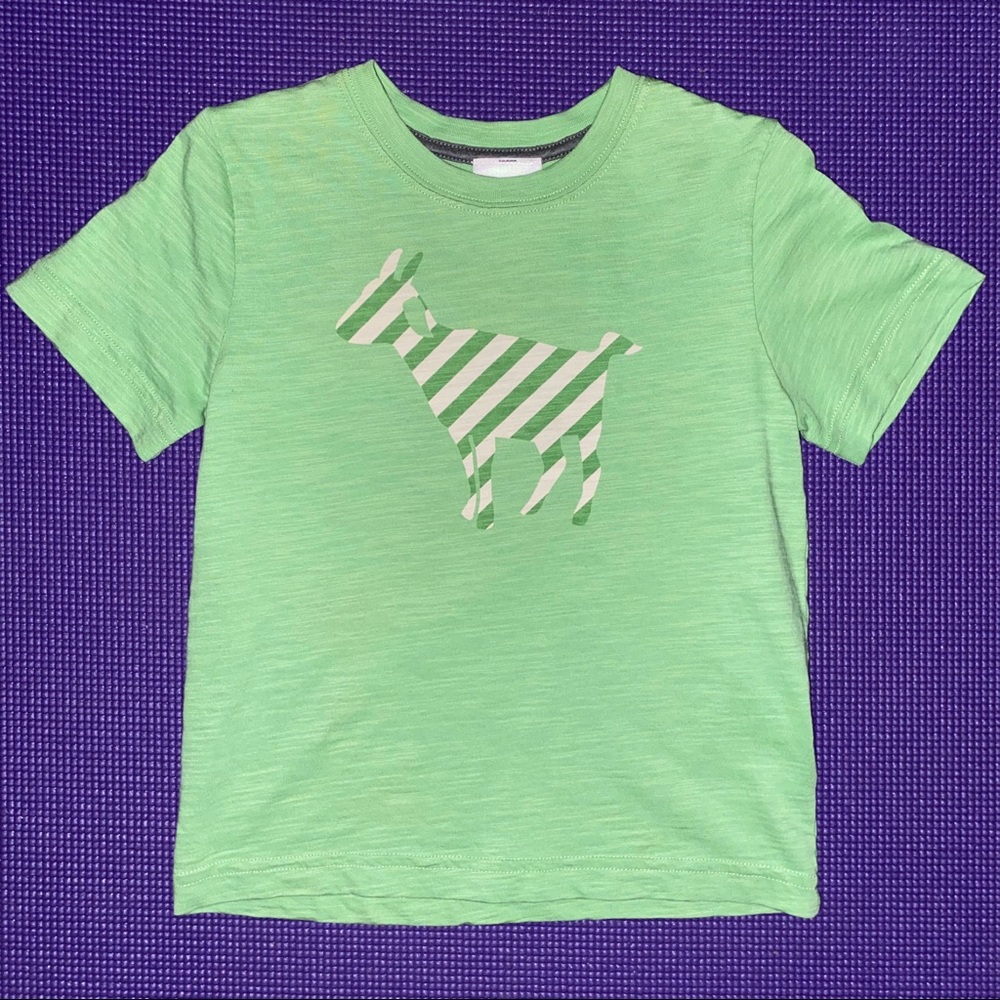 Kids’ Hanna Andersson Green “Goat” Tee, Size 110/5